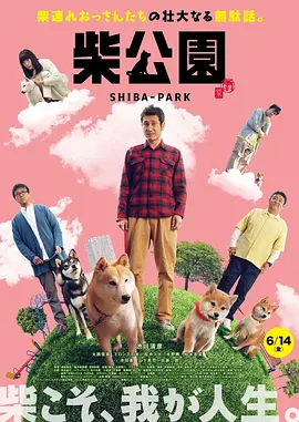 白夜追踪