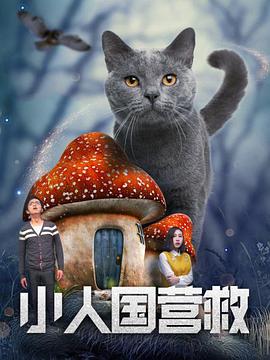 国产精品欧美一区二区在线看