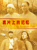 哪里可以看到